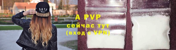 соль ск Богданович