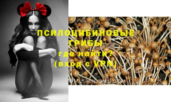 мескалин Бородино