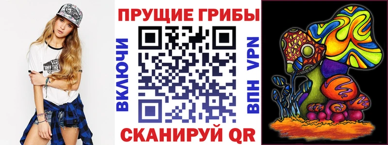 цена наркотик  Медынь  Псилоцибиновые грибы MAGIC MUSHROOMS 