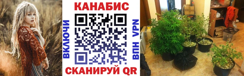 Канабис конопля  наркошоп  Медынь 
